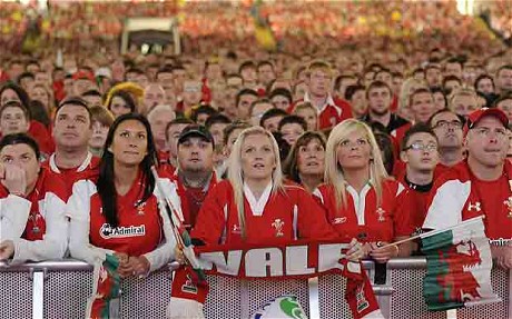 SUPPORTER WALES